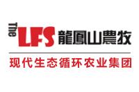 ���������ú����͑�