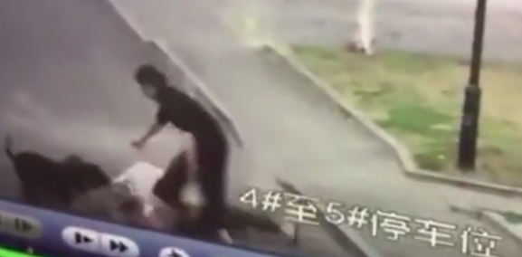 護狗反被咬-黑衣女子的狗把向先生咬倒地